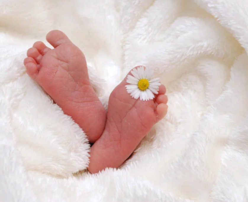 Birth Injury Law Firm WPB