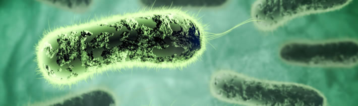 Clostridium difficile Infection